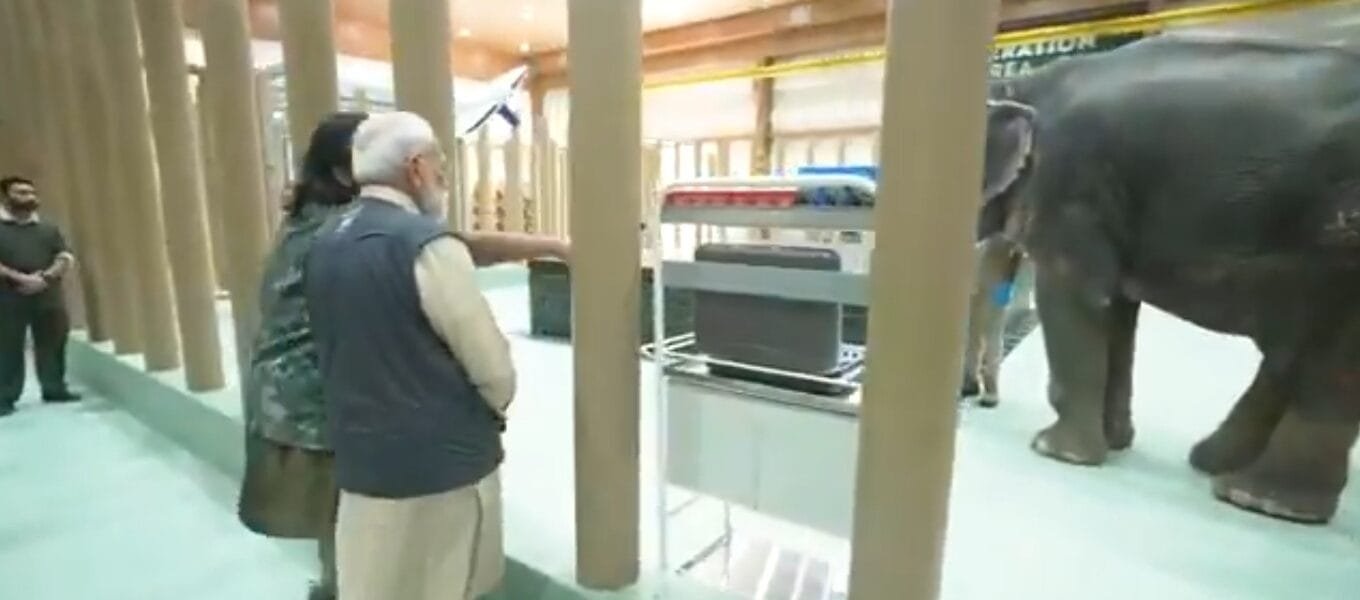 PM Narendra Modi visits Vantara Wildlife Rescue, Rehabilitation and Conservation Centre in Gujarat