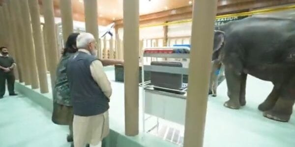 PM Narendra Modi visits Vantara Wildlife Rescue, Rehabilitation and Conservation Centre in Gujarat