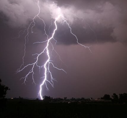 58 people died in rain-related incidents in Bihar and 22 in Uttar Pradesh