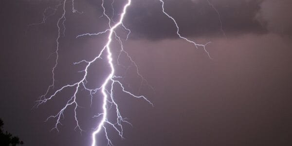 58 people died in rain-related incidents in Bihar and 22 in Uttar Pradesh