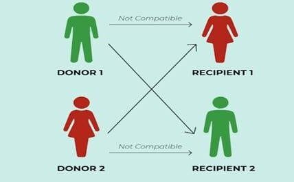 AIIMS Raipur successfully performed its first swap kidney transplant