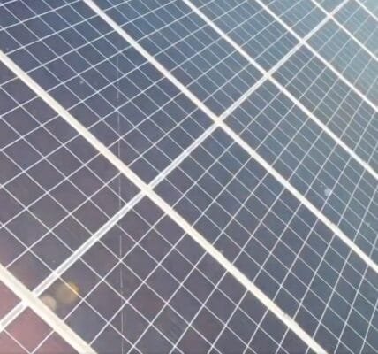 Parliamentary Estimates Committee reviews PM-KUSUM and PM Surya Ghar Free Electricity Scheme at Agrivoltaics site in Issapur, Delhi