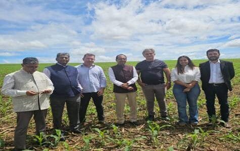 Union Agriculture Minister Shivraj Singh Chouhan visited soybean production plant and tomato farms and other institutions in Brazil