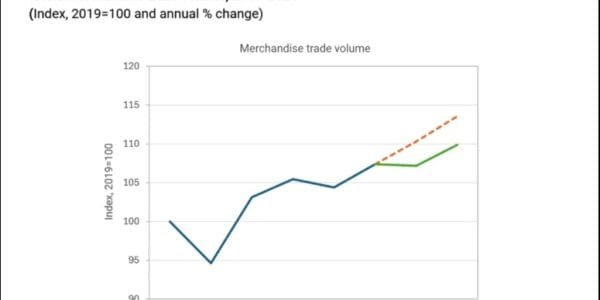 WTO releases trade projections for 2025 and 2026