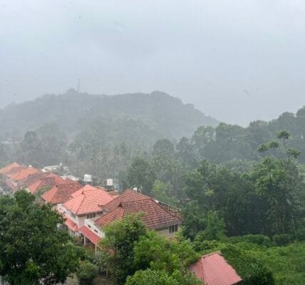 Monsoon reached Kerala eight days before schedule