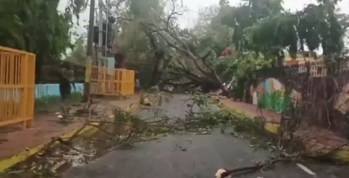14 people died in separate incidents of lightning in Bihar during the last 24 hours