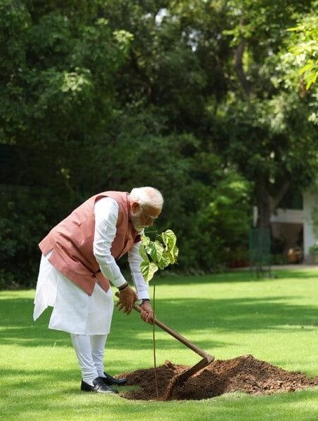PM Modi plants a vermilion tree at his residence in New Delhi on the occasion of World Environment Day