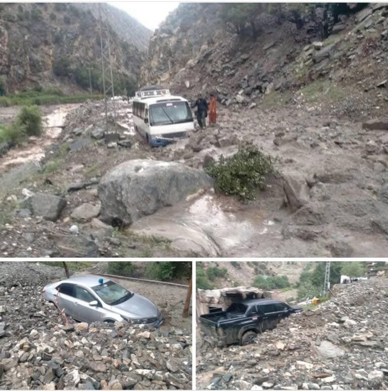 नागालैंड में तेज वर्षा के कारण बड़े पैमाने पर भूस्‍खलन से काफी नुकसान