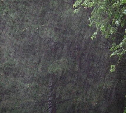 IMD issued red alert for heavy rains in Kerala till tomorrow