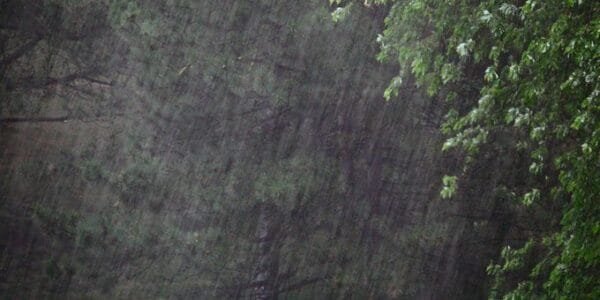 IMD issued red alert for heavy rains in Kerala till tomorrow