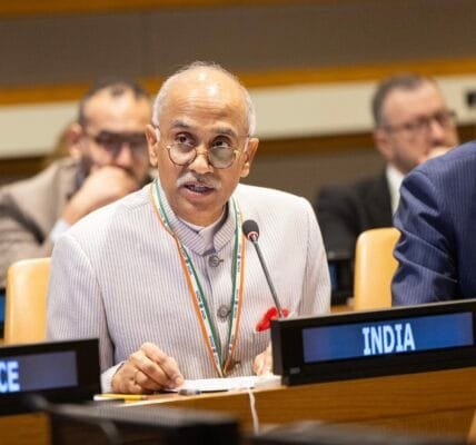 India demands to ensure punishment for crimes committed against UN peacekeepers