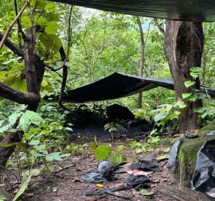 Naxalites in Jharkhand'