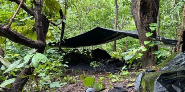 Naxalites in Jharkhand'