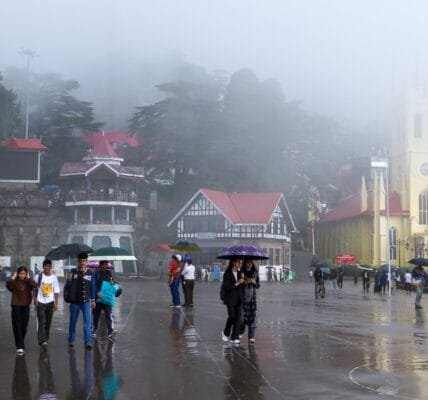 Shimla rain