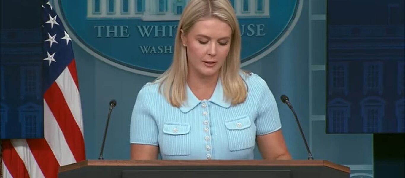 US called India an important country as a strategic partner in the Indo-Pacific region