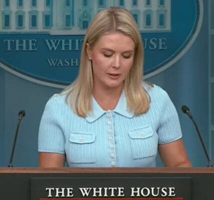 US called India an important country as a strategic partner in the Indo-Pacific region