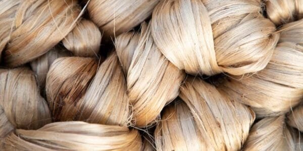 India bans import of jute products and ropes via Bangladesh with immediate effect