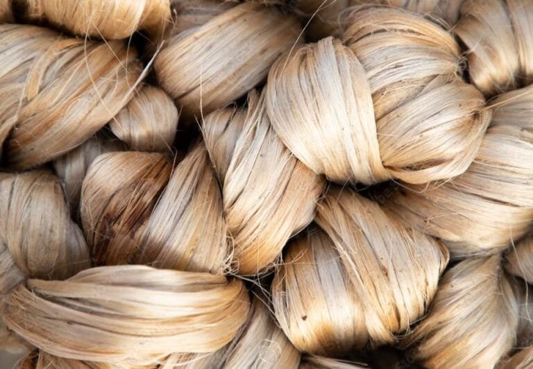 भारत ने बांग्लादेश के रास्ते जूट उत्पादों और रस्सियों के आयात पर तत्काल प्रभाव से प्रतिबंध लगाया