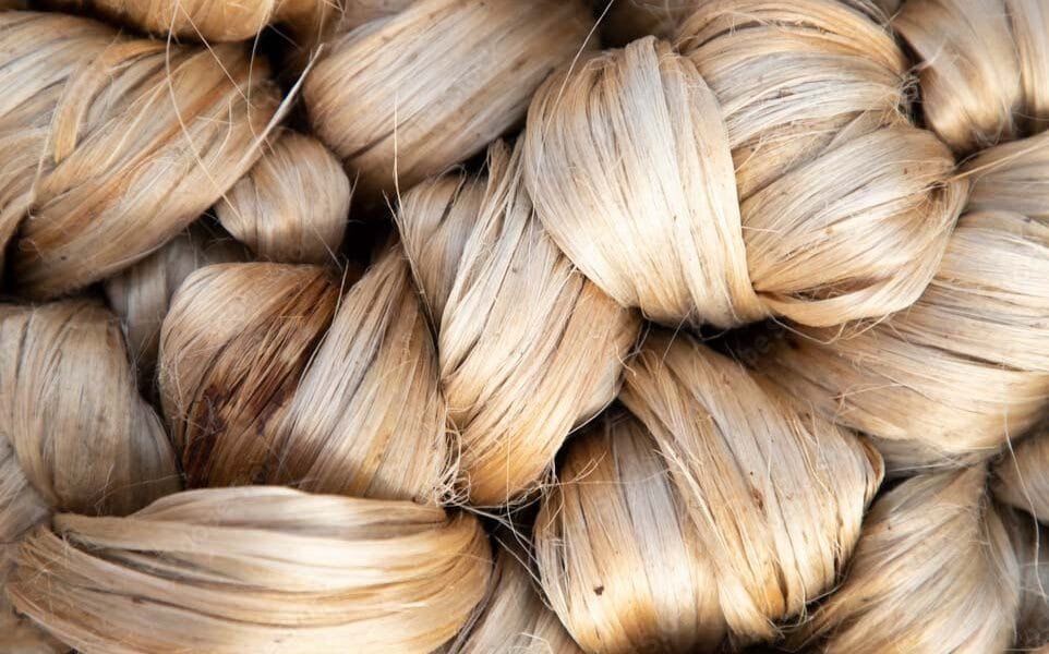 India bans import of jute products and ropes via Bangladesh with immediate effect