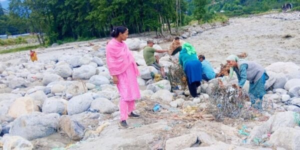 Weather is clear in most parts of Himachal Pradesh