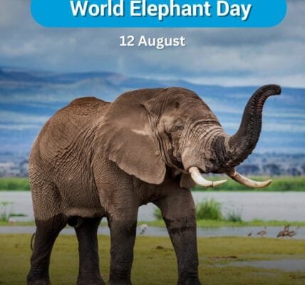 World Elephant Day is being celebrated today to raise awareness about the conservation of elephants on Earth