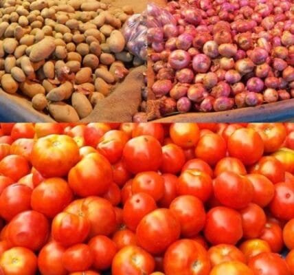 tomatoes, onions and potatoes