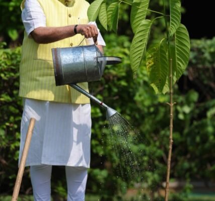 PM Modi plants a Kadamba tree gifted by Prince Charles III