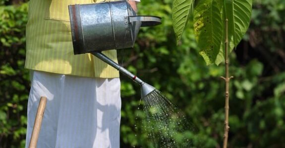 PM Modi plants a Kadamba tree gifted by Prince Charles III