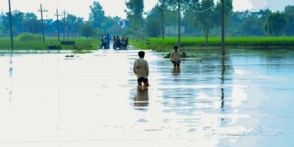 Twelve districts of Punjab affected by severe floods; 29 dead and about 1 lakh hectares of agricultural land damaged