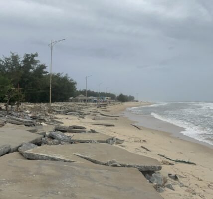 Typhoon Bualoi