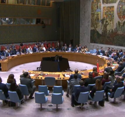 UN Security Council