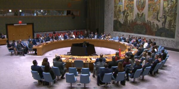 UN Security Council