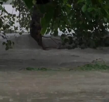 water level of Yamuna river in Delhi crossed the danger mark today