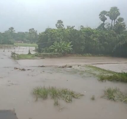 16 people died due to lightning and rain in Bihar