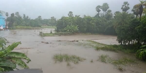 16 people died due to lightning and rain in Bihar