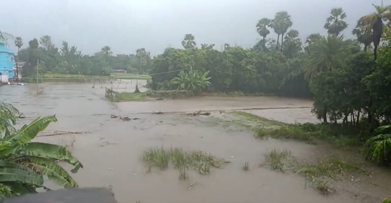 16 people died due to lightning and rain in Bihar