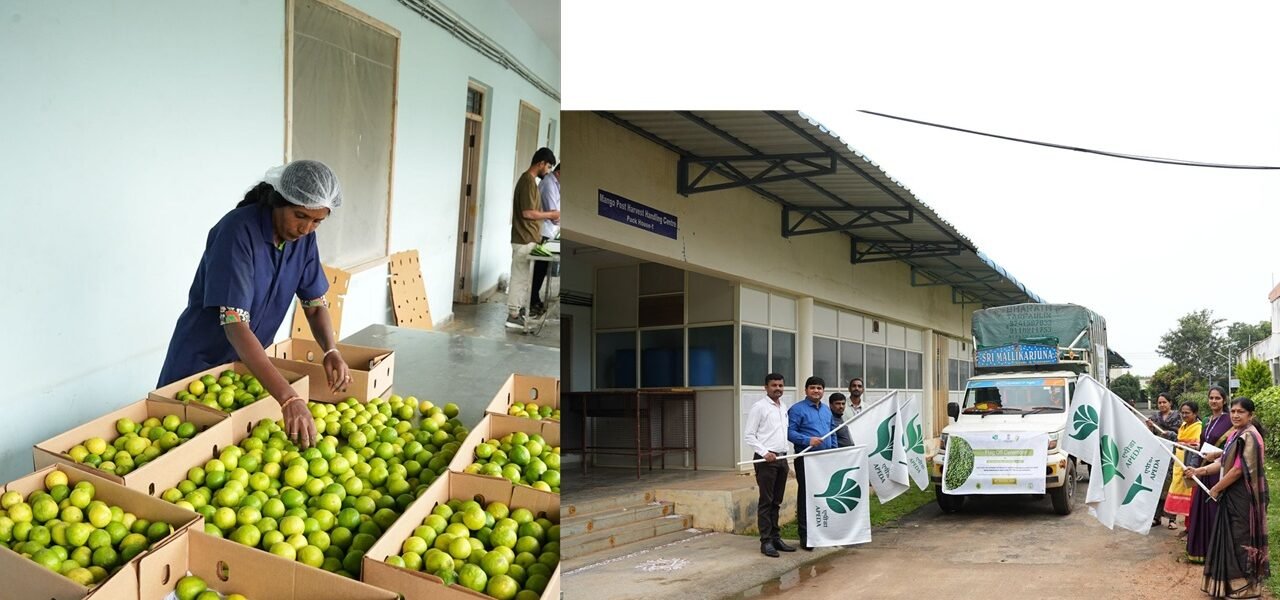 APEDA sends first air consignment of GI tagged Indi and Puliyankudi lemons from Karnataka and Tamil Nadu to the United Kingdom