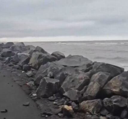 Cyclone Montha has brought heavy rain and strong winds to Odisha.