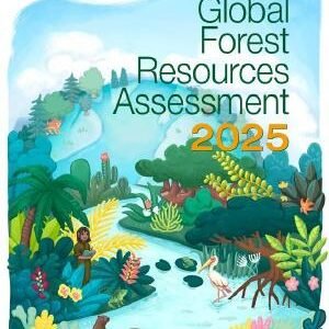 India ranks 9th globally in terms of total forest area