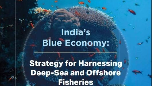 NITI Aayog releases report on India Blue Economy Strategy for Harnessing Deep Sea and Offshore Fisheries