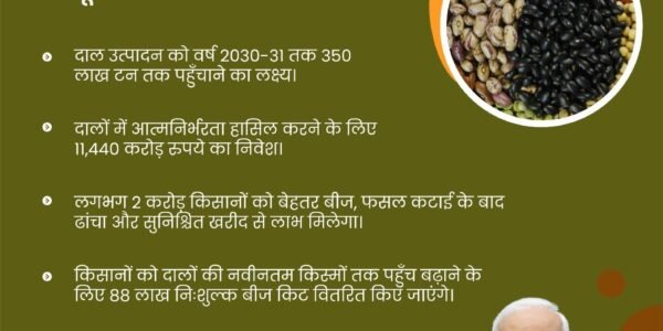 Union Cabinet approves Pulses Self-Sufficiency Mission for the period 2025-26 to 2030-31