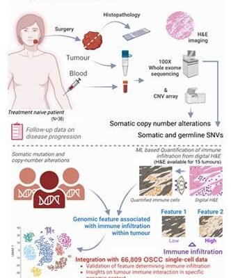 Genetic factors behind oral cancer risk in Indian women revealed