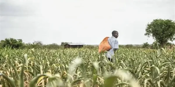 Government takes major action against black marketing, hoarding and other manipulations to ensure fertilizer supply