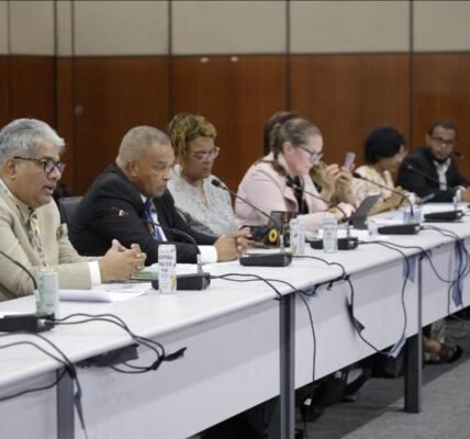 India calls for joint global action on energy security for SIDS at the ISA Leadership Session held on the sidelines of COP30 in Belém, Brazil