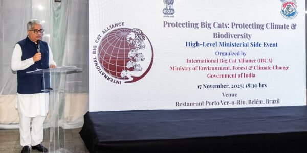 India reiterates global leadership on tiger conservation at COP30