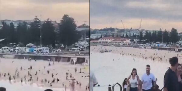 Prime Minister Modi strongly condemned the horrific terrorist attack that took place at Bondi Beach in Australia.