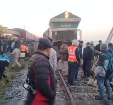 Seven elephants were killed after being hit by the Sairang-New Delhi Rajdhani Express train in Assam Hojai district.