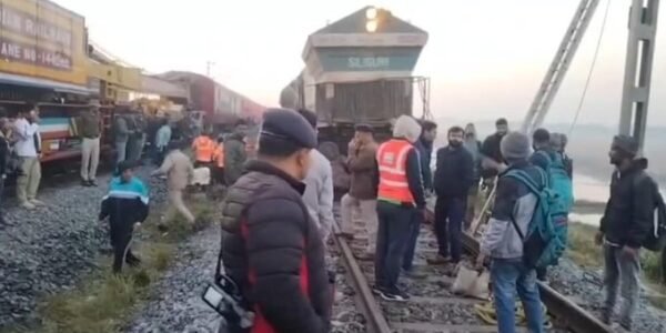 Seven elephants were killed after being hit by the Sairang-New Delhi Rajdhani Express train in Assam Hojai district.