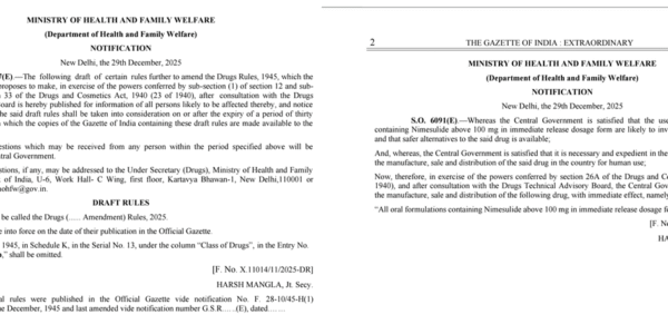 government has banned all medicines containing more than 100 milligrams of nimesulide