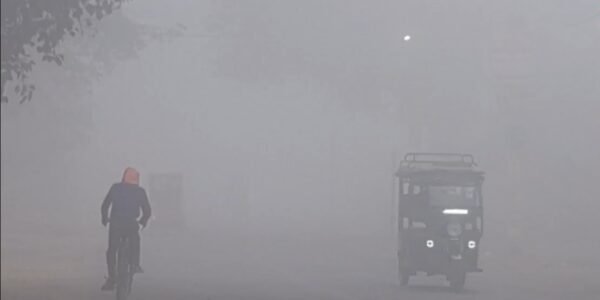 A cold wave is expected today in parts of Rajasthan, Delhi, Haryana, Chandigarh, Himachal Pradesh, Odisha, and Punjab.